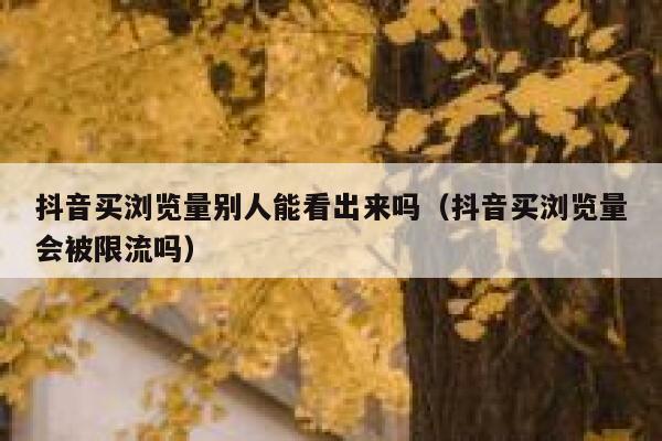 抖音买浏览量别人能看出来吗(抖音买浏览量会被限流吗) 第1张 抖音买浏览量别人能看出来吗(抖音买浏览量会被限流吗) 第1张