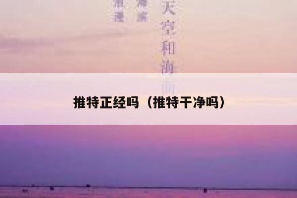 推特正经吗（推特干净吗） 第1张