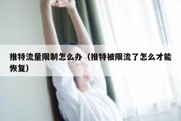 推特流量限制怎么办（推特被限流了怎么才能恢复） 第1张