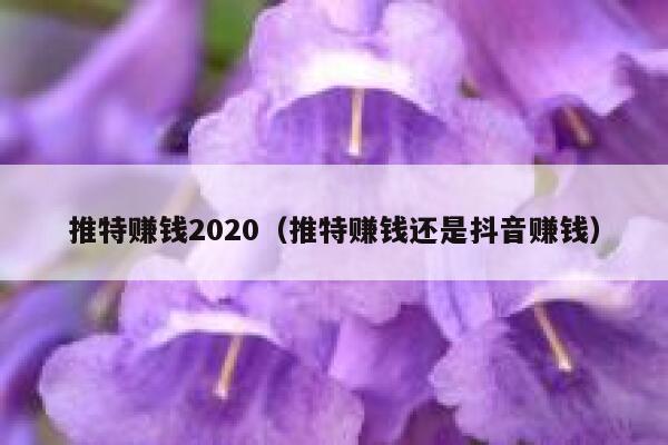 推特赚钱2020（推特赚钱还是抖音赚钱） 第1张