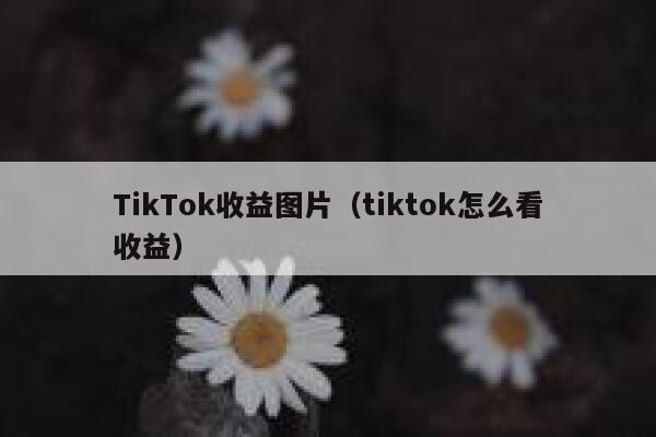 TikTok收益图片（tiktok怎么看收益） 第1张
