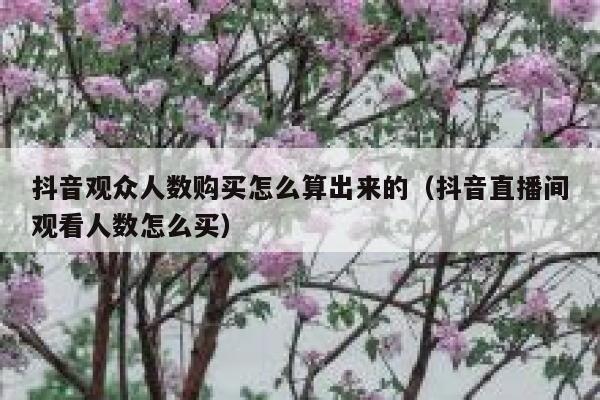 抖音观众人数购买怎么算出来的（抖音直播间观看人数怎么买） 第1张