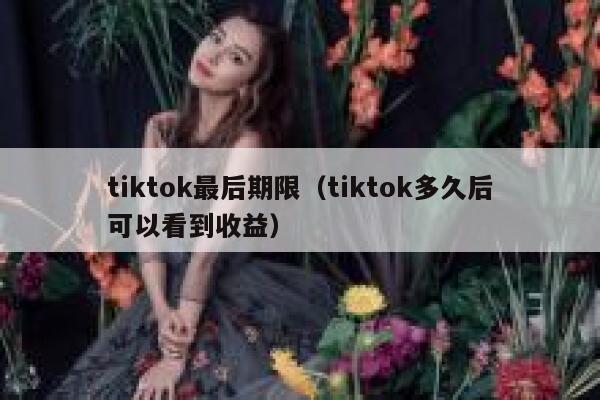 tiktok最后期限（tiktok多久后可以看到收益） 第1张