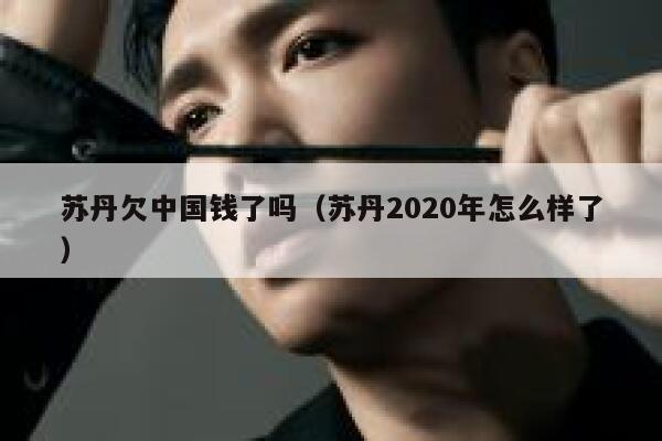 苏丹欠中国钱了吗（苏丹2020年怎么样了） 第1张