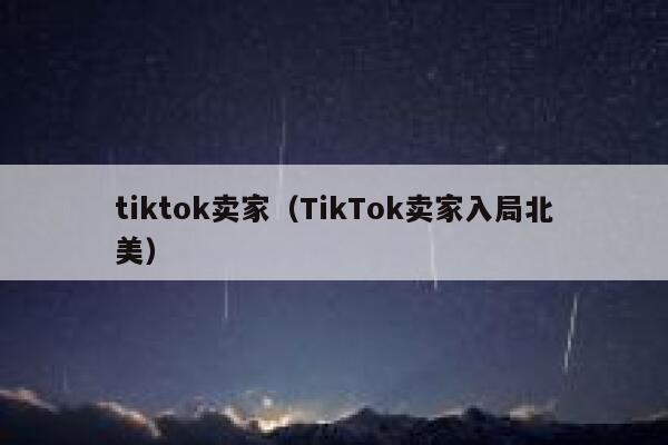 tiktok卖家（TikTok卖家入局北美） 第1张