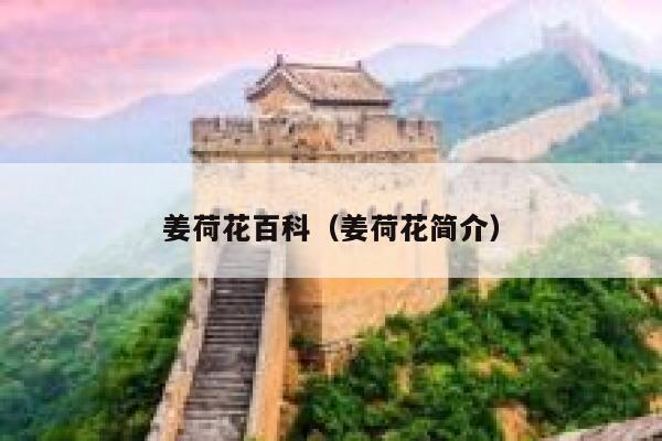 姜荷花百科（姜荷花简介） 第1张