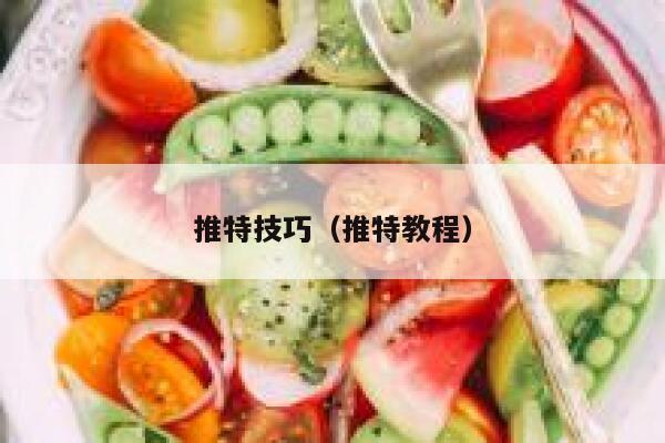 推特技巧（推特教程） 第1张
