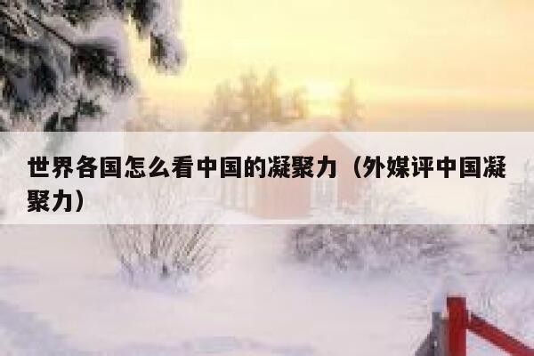 世界各国怎么看中国的凝聚力（外媒评中国凝聚力） 第1张