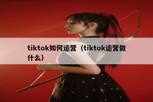 tiktok如何运营（tiktok运营做什么） 第1张
