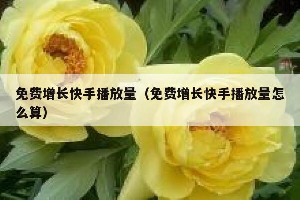 免费增长快手播放量（免费增长快手播放量怎么算） 第1张