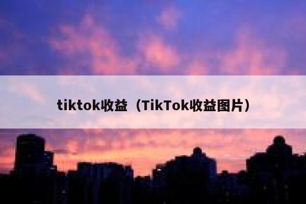 tiktok收益（TikTok收益图片） 第1张