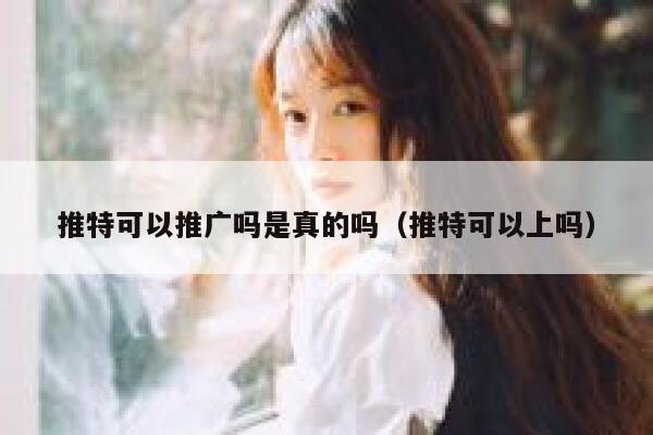 推特可以推广吗是真的吗（推特可以上吗） 第1张