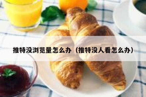 推特没浏览量怎么办（推特没人看怎么办） 第1张