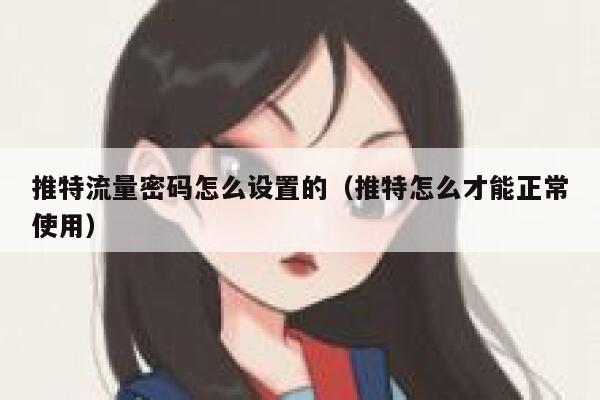 推特流量密码怎么设置的（推特怎么才能正常使用） 第1张