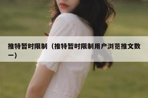 推特暂时限制（推特暂时限制用户浏览推文数一） 第1张