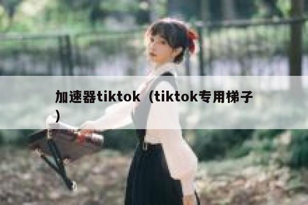 加速器tiktok（tiktok专用梯子） 第1张