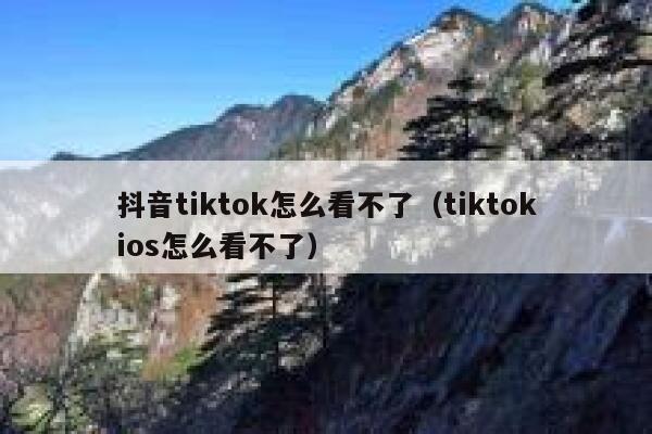 抖音tiktok怎么看不了（tiktokios怎么看不了） 第1张