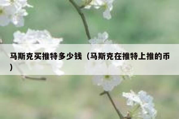 马斯克买推特多少钱（马斯克在推特上推的币） 第1张