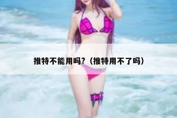 推特不能用吗?（推特用不了吗） 第1张