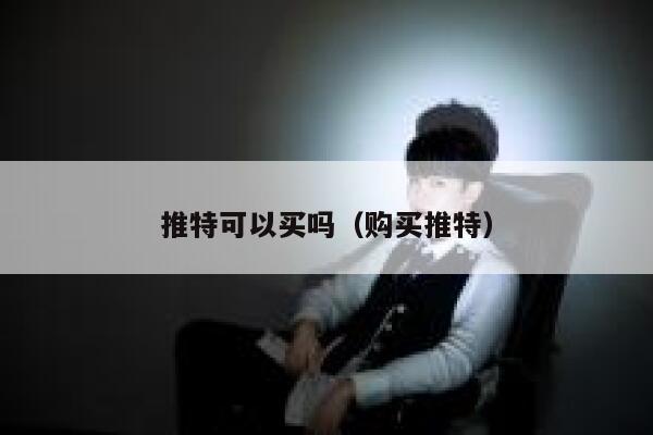 推特可以买吗（购买推特） 第1张