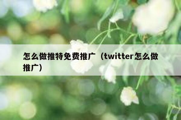 怎么做推特免费推广（twitter怎么做推广） 第1张