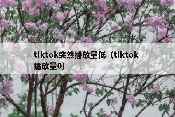 tiktok突然播放量低（tiktok 播放量0） 第1张