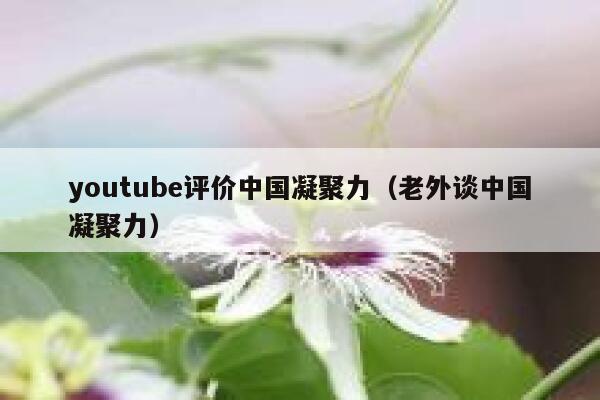 youtube评价中国凝聚力（老外谈中国凝聚力） 第1张