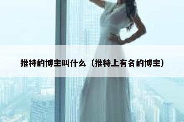 推特的博主叫什么（推特上有名的博主） 第1张