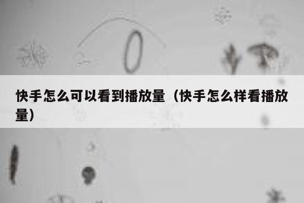 快手怎么可以看到播放量（快手怎么样看播放量） 第1张