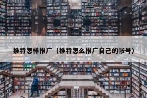推特怎样推广（推特怎么推广自己的帐号） 第1张