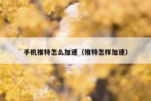 手机推特怎么加速（推特怎样加速） 第1张