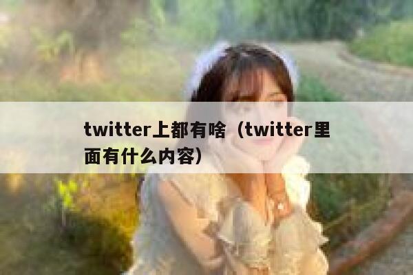 twitter上都有啥（twitter里面有什么内容） 第1张