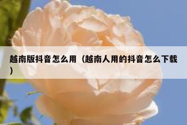 越南版抖音怎么用（越南人用的抖音怎么下载） 第1张
