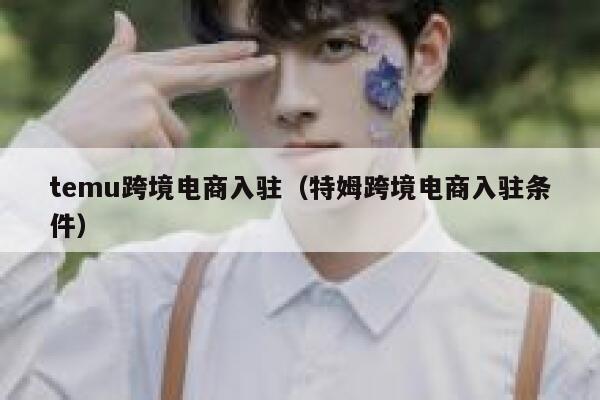 temu跨境电商入驻（特姆跨境电商入驻条件） 第1张