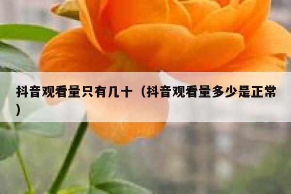 抖音观看量只有几十（抖音观看量多少是正常） 第1张
