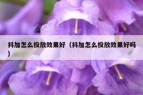 抖加怎么投放效果好（抖加怎么投放效果好吗） 第1张
