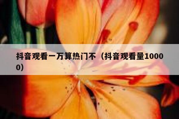 抖音观看一万算热门不（抖音观看量10000） 第1张