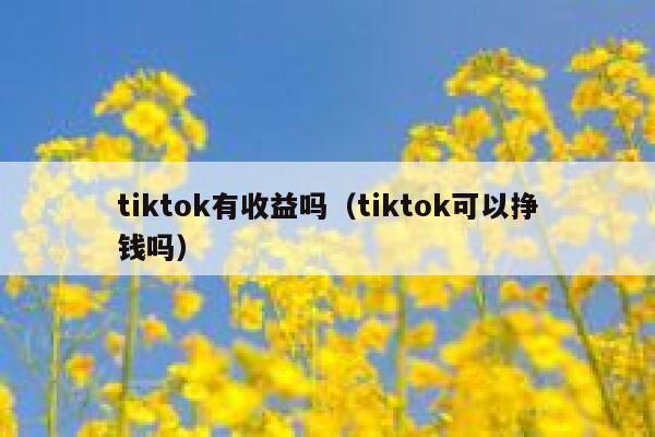 tiktok有收益吗（tiktok可以挣钱吗） 第1张