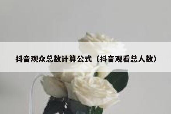抖音观众总数计算公式（抖音观看总人数） 第1张