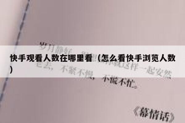 快手观看人数在哪里看（怎么看快手浏览人数） 第1张