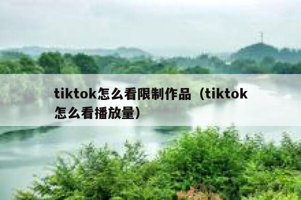 tiktok怎么看限制作品（tiktok怎么看播放量） 第1张