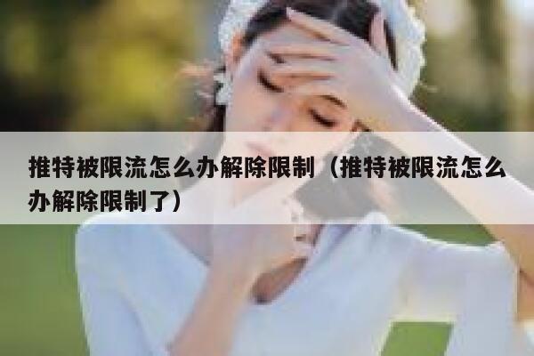 推特被限流怎么办解除限制（推特被限流怎么办解除限制了） 第1张