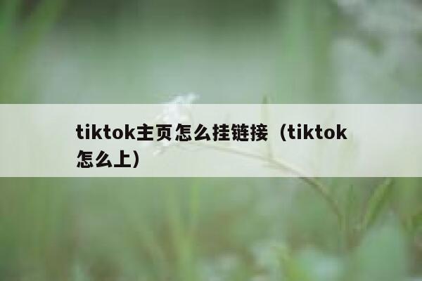 tiktok主页怎么挂链接（tiktok怎么上） 第1张