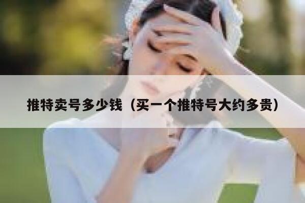 推特卖号多少钱（买一个推特号大约多贵） 第1张