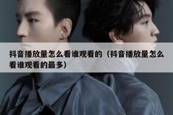 抖音播放量怎么看谁观看的（抖音播放量怎么看谁观看的最多） 第1张