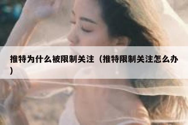推特为什么被限制关注（推特限制关注怎么办） 第1张