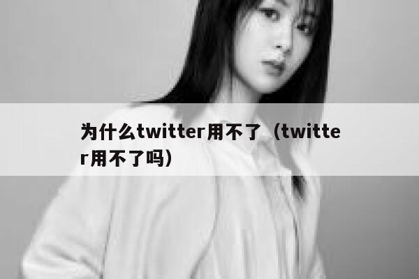 为什么twitter用不了（twitter用不了吗） 第1张