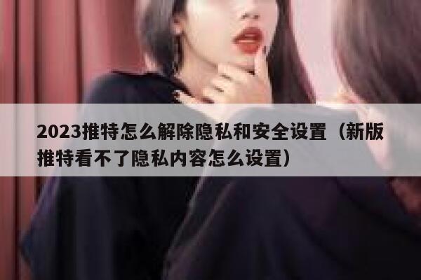 2023推特怎么解除隐私和安全设置（新版推特看不了隐私内容怎么设置） 第1张