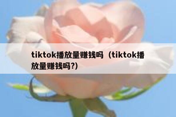 tiktok播放量赚钱吗（tiktok播放量赚钱吗?） 第1张