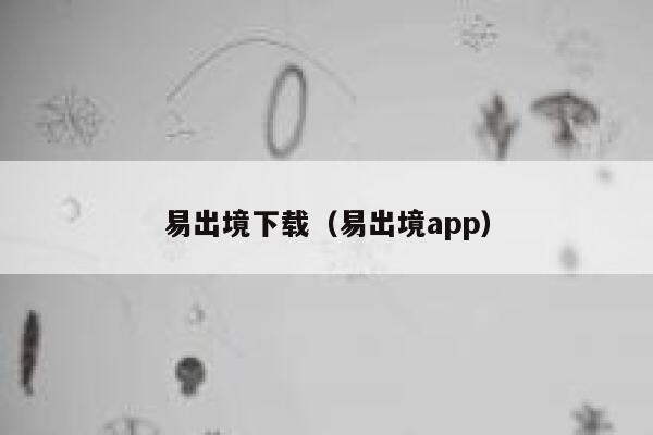 易出境下载（易出境app） 第1张
